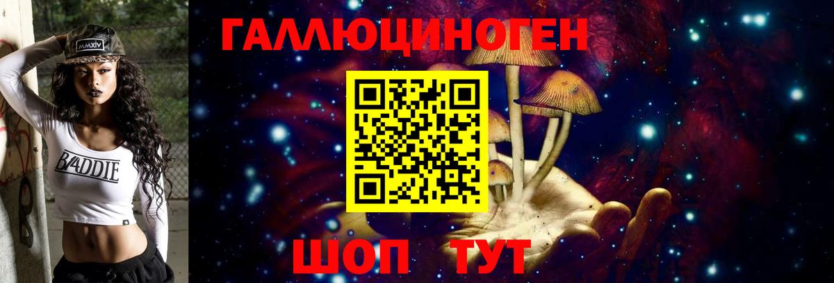 Королёв  Псилоцибиновые грибы ЛСД  Вход с VPN 